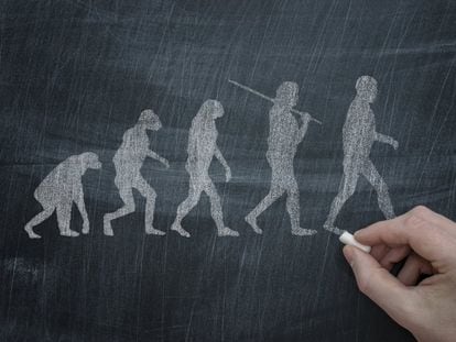 Ilustración de la teoría de la evolución de Darwin.