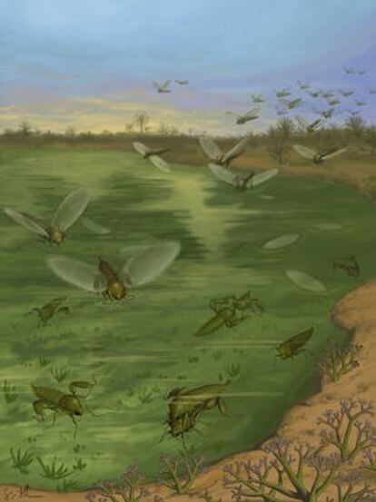 Ilustraci&oacute;n de las moscas del Jur&aacute;sico  &#039;Strashilidae&#039; en su entorno ecol&oacute;gico.