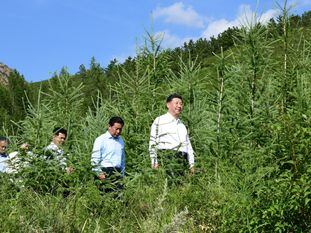 El presidente chino, Xi Jinping, visita un bosque en Mongolia en julio de 2019.