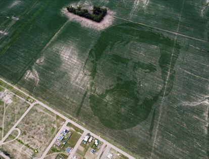 El rostro de Lionel Messi trazado en una plantación de maíz en Los Cóndores, a las afueras de Córdoba, el 15 de enero de 2023. 