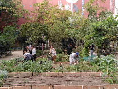 Esta Es una Plaza, situada en el madrileño barrio de Lavapiés, iniciativa vecinal de huerto urbano más orientada a la pedagogía que al autoconsumo.
