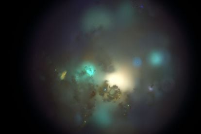 Otra de las nebulosas realizada a partir de cenizas.