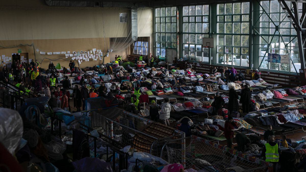 Wideo |  Tak działa Ukraińskie Centrum Uchodźców w Polsce  Filmy