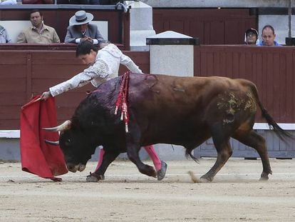 Francisco José Espada inicia un pase de pecho a su primer toro.