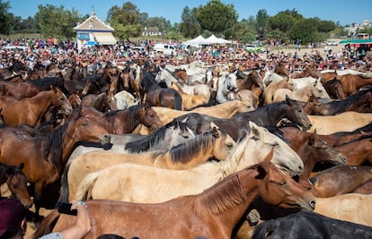 La tradicional Saca de las Yeguas de Doñana celebrada el pasado 26 de junio en el pueblo de El Rocío.