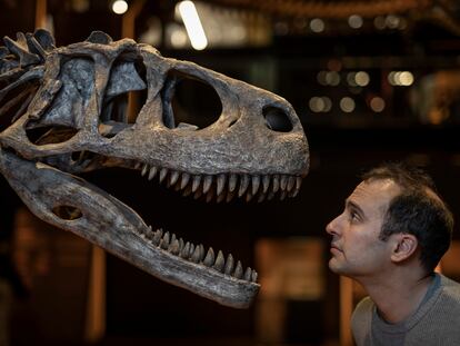 Steve Brusatte, en la exposición ‘Dinosaurios de la Patagonia’.