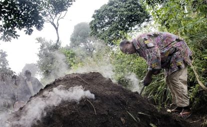 Carbón Vegetal - Gran América