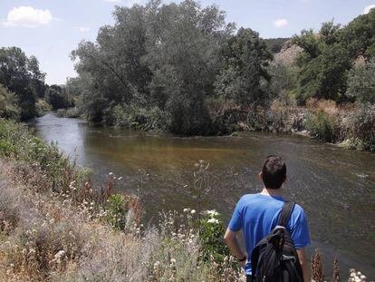 Un senderista observa el cauce del río Jarama a su paso por el término de Rivas- Vaciamadrid.