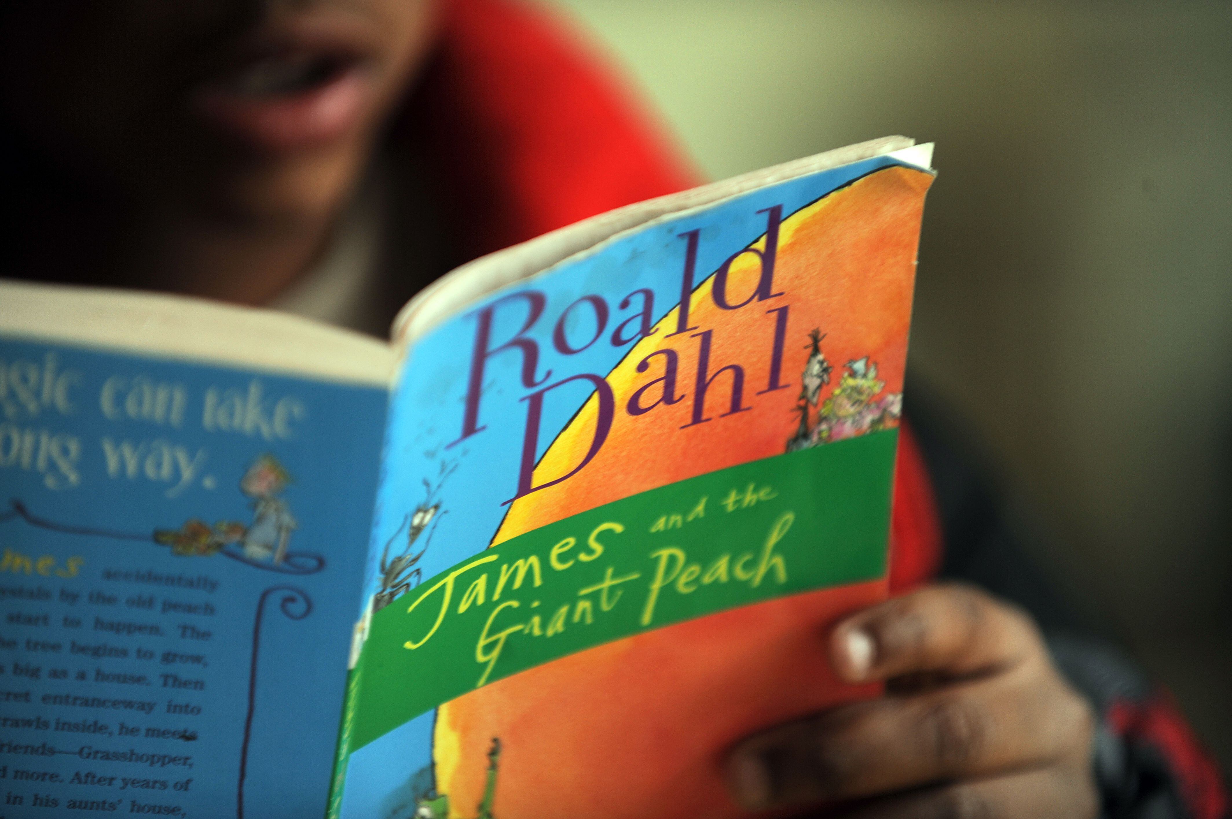 Un niño lee un ejemplar de 'James y el melocotón gigante', de Roald Dahl. 