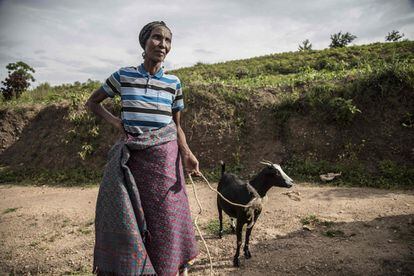 Josepha Mukaruzima, una mujer tutsi de 70 años cuya familia fue asesinada durante el genocidio de 1994, aparece en la foto con su cabra en la aldea de Ruseke. En 1994, sus vecinos Hutu de la comuna Giheta se volvieron contra los de Ruseke, de mayoría tutsi.