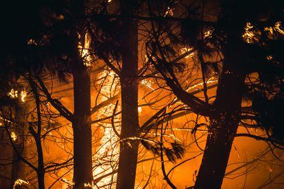 Incendio forestal en Boiro, en la madrugada del sábado.
