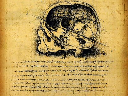 Arriba, fragmento de los apuntes de anatomía de Leonardo da Vinci.