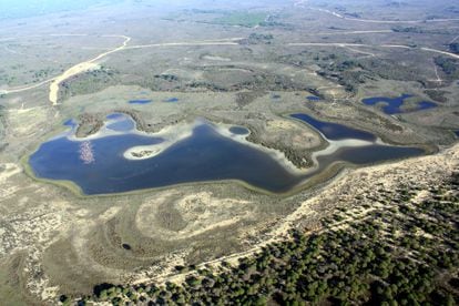 Vista aérea de la laguna de Santa Olalla, hace un mes y medio. ICTS/ Estación Biológica de Doñana
