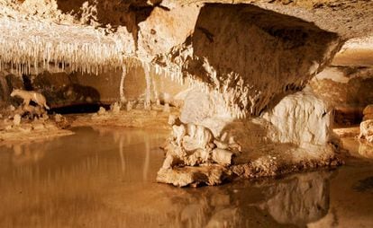 Interior de las grutas de Savvonnieres, en el valle del Loira (Francia).