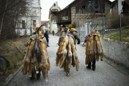 Cazadores caminan con las pieles de los zorros por las calles de Thusis.
