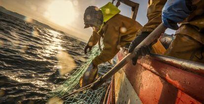 Veinte toneladas de redes de pesca tendrán un nuevo uso