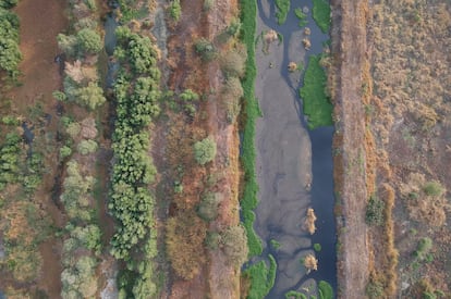 Imagen aérea de los humedales de la zona norte de Xochimilco, al sur de Ciudad de México, declarados Área Natural Protegida y Patrimonio de la Humanidad.