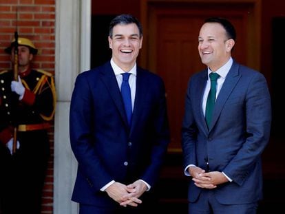 El presidente del Gobierno, Pedro Sánchez, durante su encuentro con el primer ministro de Irlanda, Leo Varadkar.