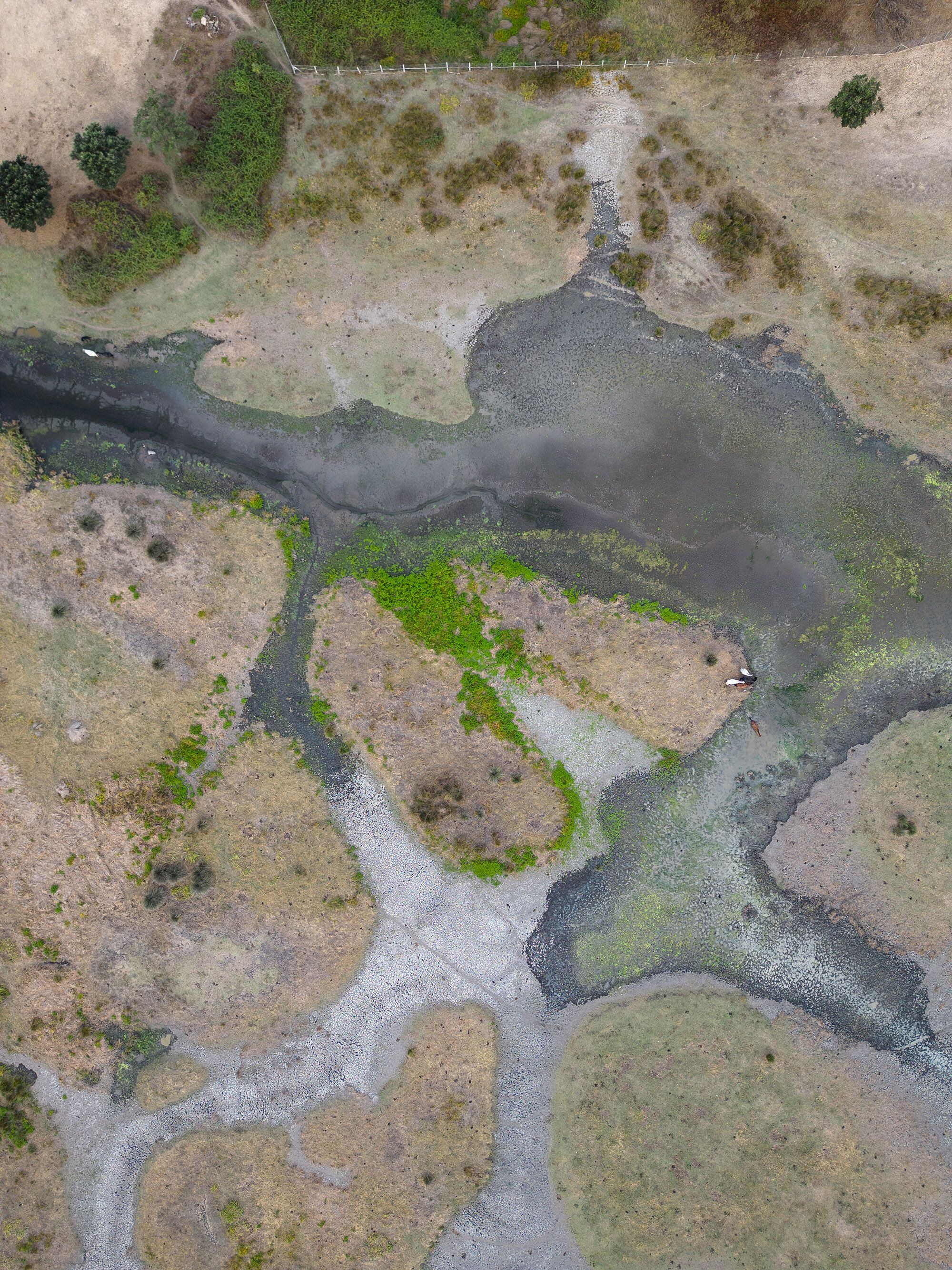 El cauce seco del arroyo de Soto Chico muestra el estado de las marismas de Doñana.