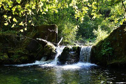 Salto de agua del riachuelo Muniellos, afluente del Narcea.