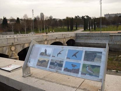 Junto al puente del Rey, donde se disparará la 'mascletá' hay una placa que explica la recuperación del río Manzanares y las diversas especies que ahora lo habitan.