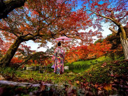Una mujer vestida con el tradicional kimono japonés en medio de un jardín en Japón en pleno otoño.