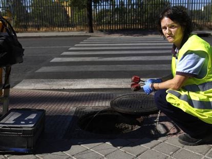 Pilar Torres, controladora de plagas, inspecciona una alcantarilla.