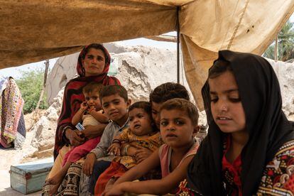 Benaziz, de 30 años, y sus seis hijos, cerca de Balouch Zardari, un pueblo de la provincia de Sindh. La mujer describe sus penurias antes de las lluvias. “No teníamos acceso a agua potable y nuestros hijos pasaban hambre por falta de alimentos. Y ahora todo es más difícil. Tenemos más mosquitos y enfermedades, y el centro de salud está a 15 kilómetros. Estamos luchando para sobrevivir. Día tras día”, cuenta entre lágrimas. El hambre amenaza la vida de millones de niños. En total, cerca de 1,6 millones de pequeños podrían estar sufriendo desnutrición aguda grave en estas zonas y necesitar tratamiento urgente. Se estima que siete millones de personas, principalmente menores de edad y mujeres embarazadas y lactantes, necesitan apoyo nutricional inmediato.