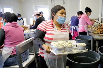 Evelia García, originaria de Hidalgo (México), trabaja en una empacadora de carne de cangrejo, en Fishing Creek (Maryland), en mayo de 2020.