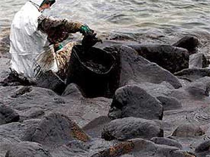 Un voluntario limpia rocas de chapapote, tras el naufragio del<b><i> Prestige.</b></i>