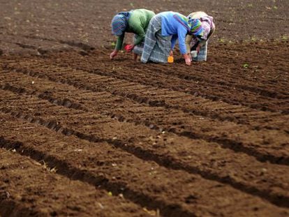 Un grupo de agricultoras en Chimaltenan​go, una zona rural de Guatemala.