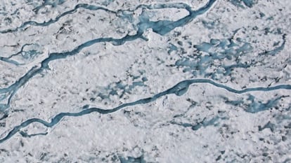 ¿Son peligrosos los virus del hielo?